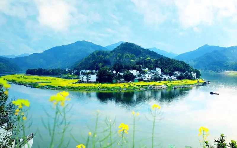 数字化创意稳定性